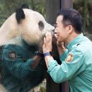 데굴데굴
