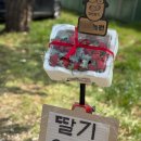 맹방관광지 이미지