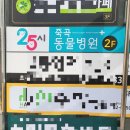 25시 죽곡동물병원 | 먼치킨킬트 '람보' 중성화 : 25시죽곡동물병원👍