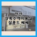 상록수헤어샵 - 동작구 | [안산]일대일시술이라 좋은 상록수역미용실 살롱드쎄쎄 다녀왔어요.