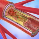 서울건강내과의원 이미지