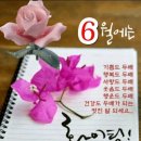 동양여행사 네이버블로그