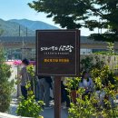 라벤더까페 | 양산 느티나무의사랑 카페 실시간 라벤더축제 브런치 후기