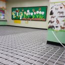 천부초등학교 이미지