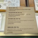 아이스크림스토리싱글벙글평화로점 | 웨딩밴드 계약 성공후기 종로부터 디자이너 브랜드까지 : 제이버튼주얼리, 코이누르, 스톤콧