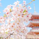 오사카PC 이미지