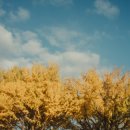 점곡초등학교 이미지