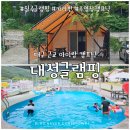 대성글램핑 | 칠곡 대성글램핑 캠프닉 후기 | 아이들과 당일 글램핑 수영장으로 여름 피서 제대로 즐기기
