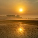 안서목장 이미지