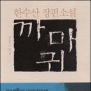 한수산 강원도민일보