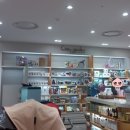 COZY GARDEN(코지가든) 이미지