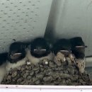 신안행정사사무소 이미지