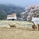 중기목장 이미지