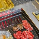 청년정육점 이미지