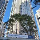 간석초교 이미지