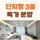 먹갓로1 | 화도읍빌라 매매 낮은 실입 다양한 구조 3룸