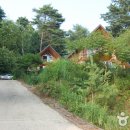 주천강강변자연휴양림 이미지