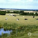 김창선농장 연합뉴스