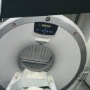 선영초음파메디칼 | 부천고양이병원 24시간 해든동물병원 외이도이형성 고양이ct촬영