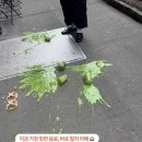 유행 이미지