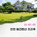 안면애견펜션프리독 | 태안 반려동물 동반 숙소 조용한 안면애견펜션 프리독 복층 102호