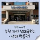 부천자연생태박물관 | 부천 자연생태박물관🐛 아이랑 실내체험 후기 (공룡관 꿀잼)