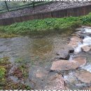 정원민박 이미지