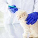 이즈 동물병원 이미지