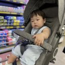 다온팜스 이미지