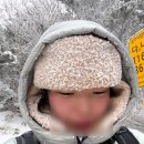 설경 | 눈 오는 날 오른 한라산 백록담 제주 한라산 설경 후기