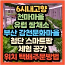 첨단농장 | 감천문화마을 천마마을 유럽 쌈채소 택배주문 카페 위치 첨단 스마트팜 체험 방법(+천해마루 스마트팜)