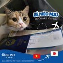 코비트래블 - 중구 남대문로10길 9 | 코비트래블