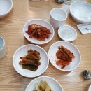 박여사삼계탕