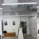 하늘 | 로망 가득이었던 제주스냅 후기!!!(+하늘보정,드이베 제주)