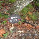 한이팻 Daum카페