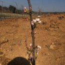 재철농장 이미지