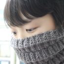 아모니카