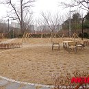 서부초교 이미지