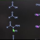 카보닐작용기 이미지