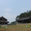 명대지 티스토리