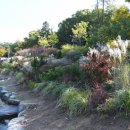 더불어숲 이미지