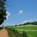 누리목장 이미지