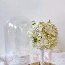 서천서로20번길 횡단보도 | 부케 말리기 유리 돔 후기: 시든 수국 부케도 다시 살아난 이유 (전문 플로리스트 작업기) _ 수원, 동탄...