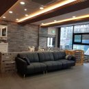 페로페라동물병원 이미지