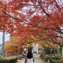 도담오토캠핑장