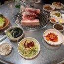 제주 한라돈