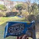 편의점 | 홈런볼 소금우유 맛 편의점 구매 후기