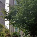 도곡2-104 이미지