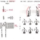 원앙장 | 노량진임용고시_향악정재 (이쌤 429p~441p)