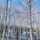 인제06-1 이미지